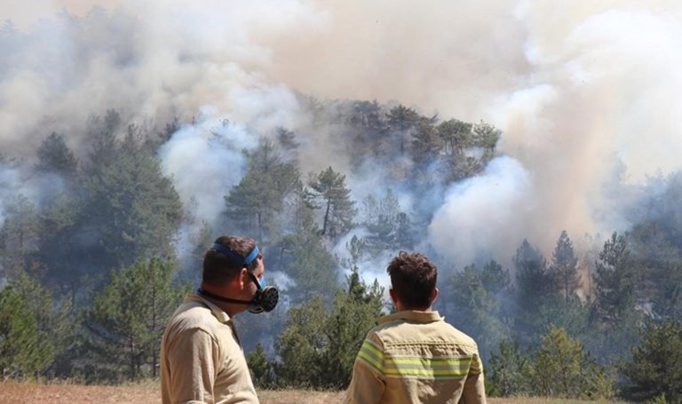 Bolu Valisi Kılıç'tan orman yangınına ilişkin açıklama: Bolu tarihinin en büyük yangını – Son Dakika Türkiye Haberleri