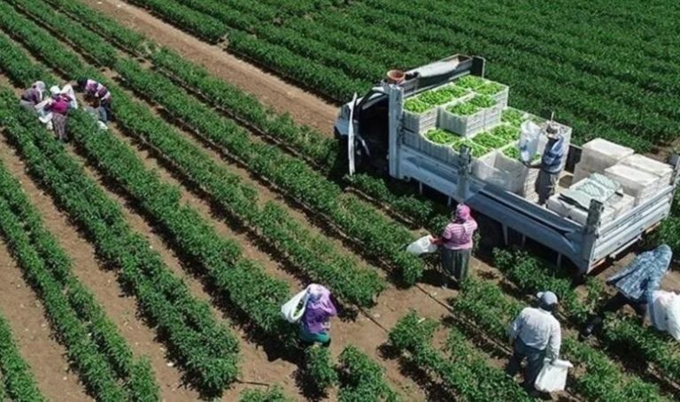 Tarımsal üretime yönelik desteklere ilişkin usul ve esaslar belirlendi – Son Dakika Ekonomi Haberleri