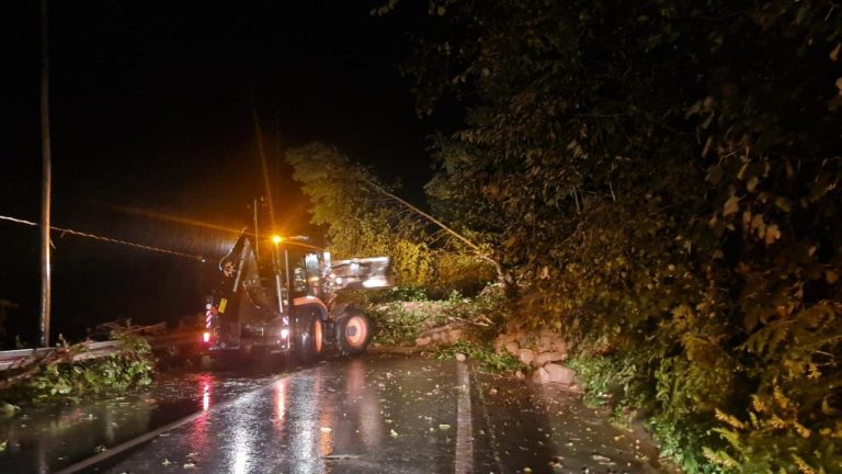 Rize Valiliğinden “şiddetli yağmur” uyarısı