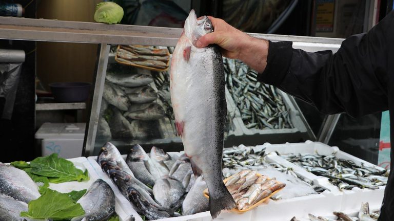 Türk Somon İhracatı Yükseliyor – Son Haberler