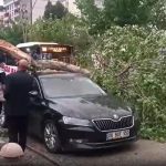 Diyarbakır ve Batman’da fırtına; Araçlarda çatılar ve devrilmiş ağaçlar
