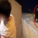 Aşiret mensubu trafikte tartıştığı kişiyi bacaklarından vurdu… Serbest bırakılması tepki çekmişti! İtirazın ardından tutuklandı